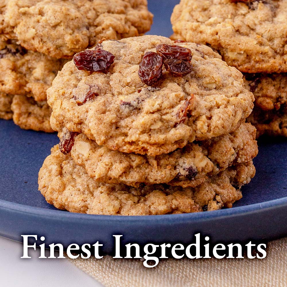 Oatmeal Raisin Cookie Mix, 16 oz
