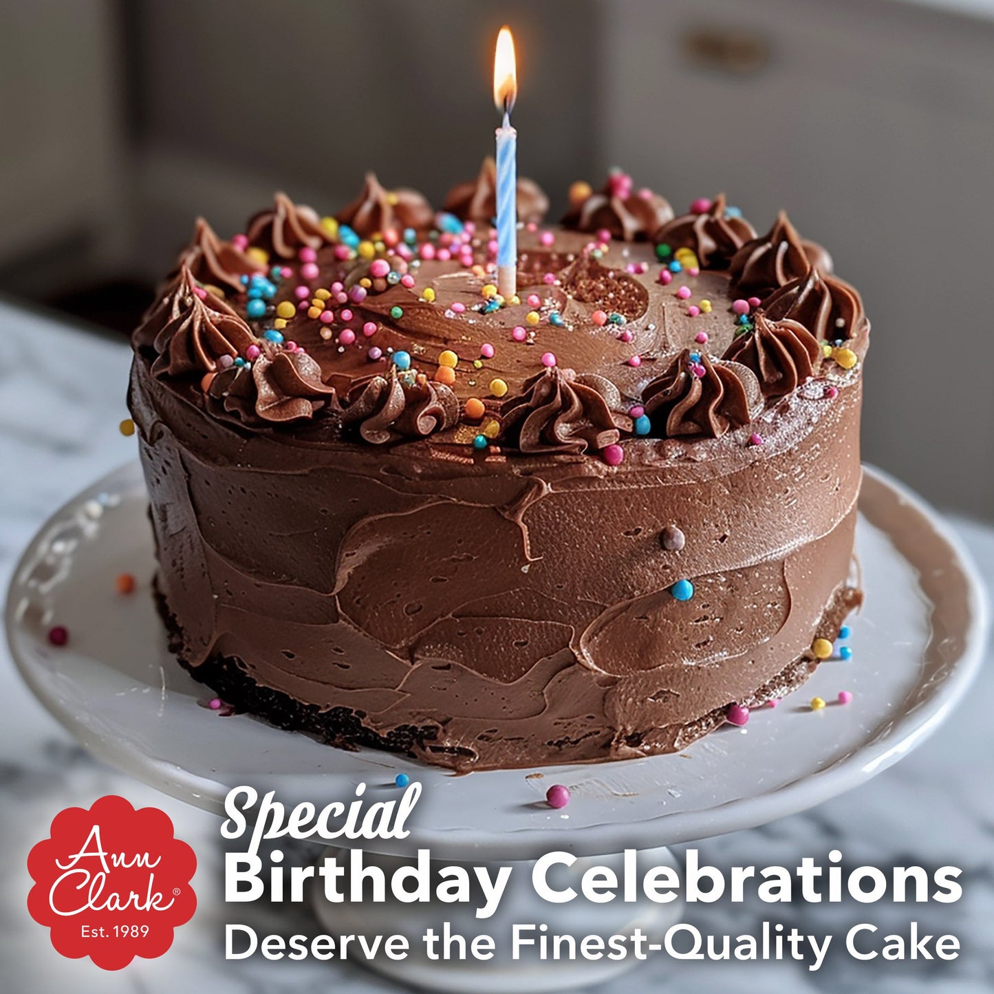 Gourmet Chocolate Cake Mix, 19 oz