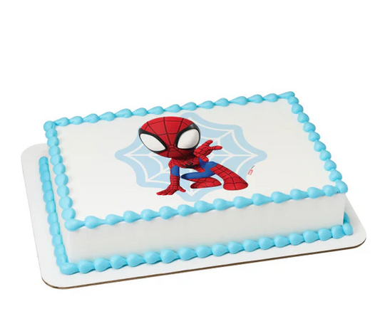 Spidey and His Amazing Friends Spidey Web Edible Cake Image