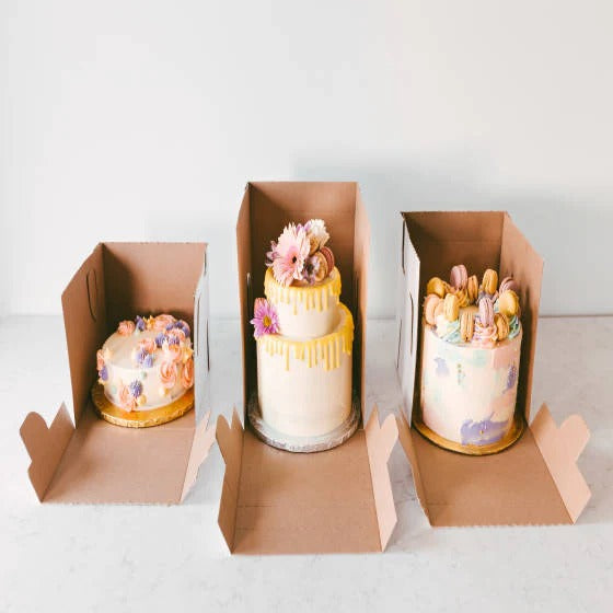 14 x 14 x 12" White Bakery Boxes with Window Pastry Boxes for Tall and Heavy Cakes