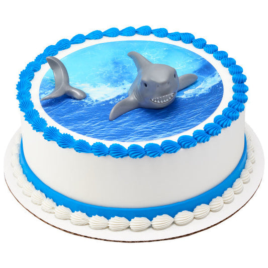Shark Cake Kit 2 Piece Topper